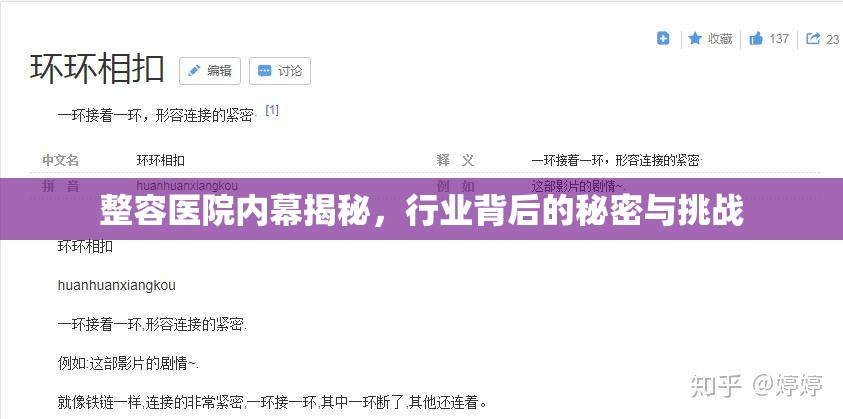 整容醫(yī)院內(nèi)幕揭秘，行業(yè)背后的秘密與挑戰(zhàn)