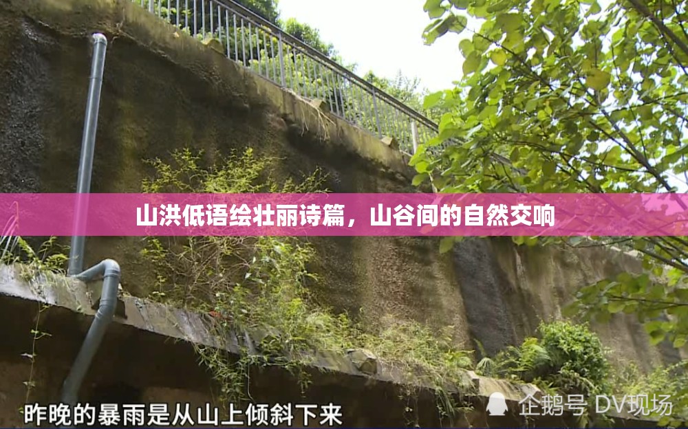 山洪低語(yǔ)繪壯麗詩(shī)篇，山谷間的自然交響