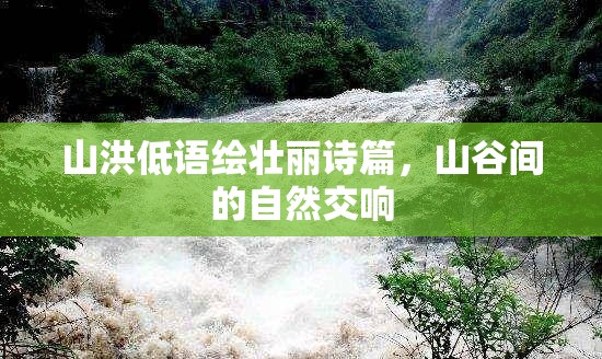 山洪低語(yǔ)繪壯麗詩(shī)篇，山谷間的自然交響
