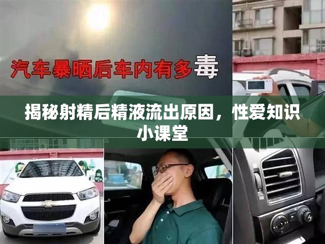 揭秘射精后精液流出原因，性愛知識小課堂