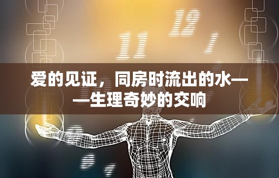 愛的見證，同房時流出的水——生理奇妙的交響