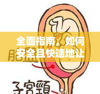 全面指南，如何安全且快速地讓胎盤流出體外