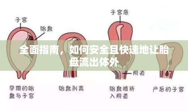 全面指南，如何安全且快速地讓胎盤流出體外