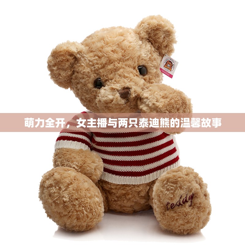 萌力全開，女主播與兩只泰迪熊的溫馨故事