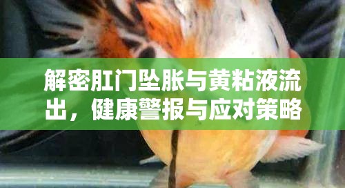 解密肛門墜脹與黃粘液流出，健康警報(bào)與應(yīng)對(duì)策略