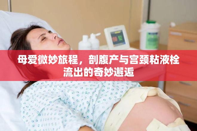 母愛(ài)微妙旅程，剖腹產(chǎn)與宮頸粘液栓流出的奇妙邂逅