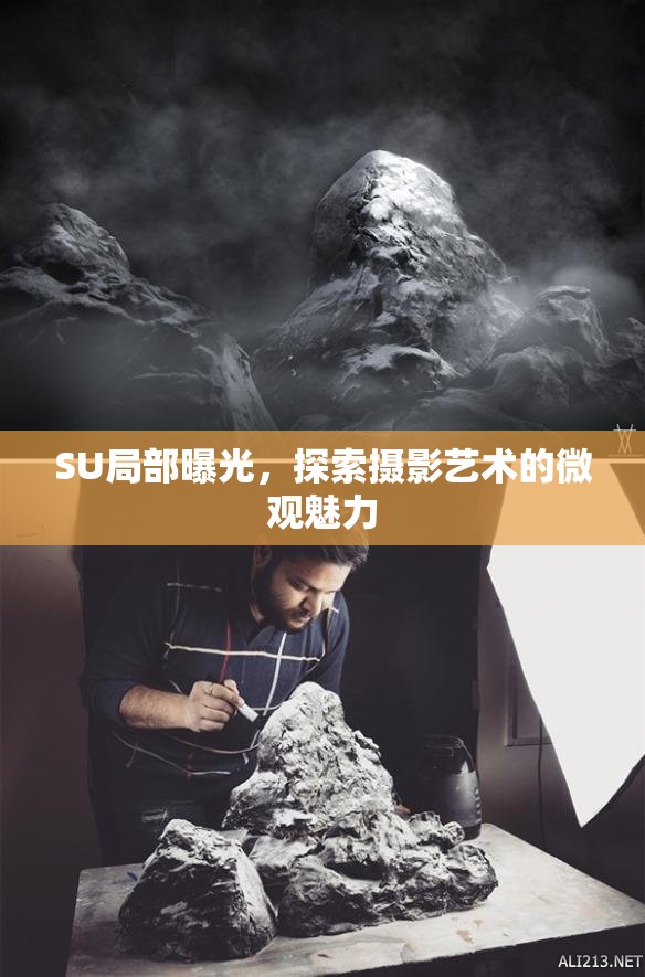 SU局部曝光，探索攝影藝術(shù)的微觀魅力
