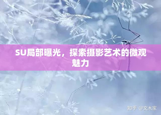 SU局部曝光，探索攝影藝術(shù)的微觀魅力