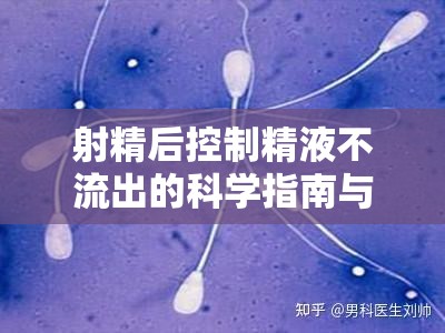 射精后控制精液不流出的科學指南與實用技巧