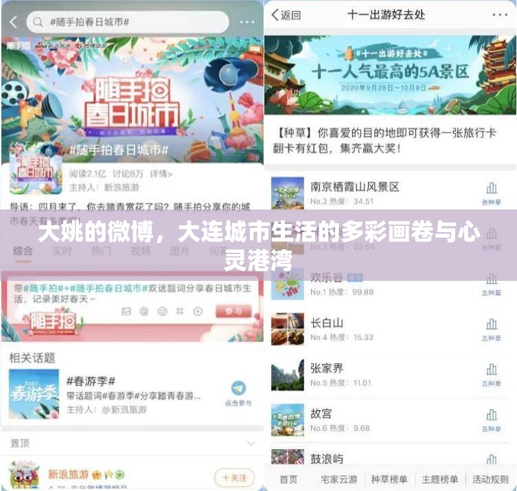 大姚的微博，大連城市生活的多彩畫卷與心靈港灣