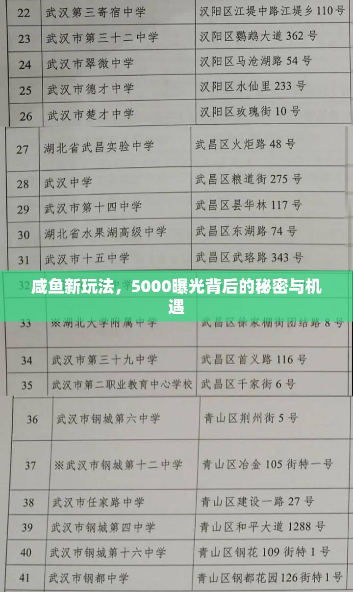 咸魚(yú)新玩法，5000曝光背后的秘密與機(jī)遇