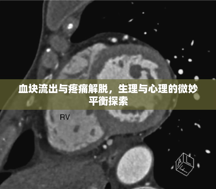 血塊流出與疼痛解脫，生理與心理的微妙平衡探索