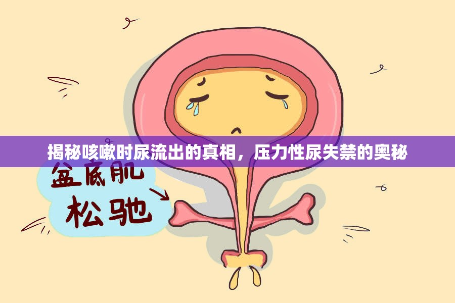 揭秘咳嗽時(shí)尿流出的真相，壓力性尿失禁的奧秘