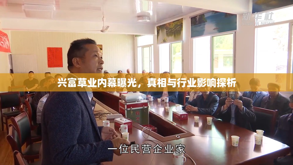 興富草業(yè)內(nèi)幕曝光，真相與行業(yè)影響探析