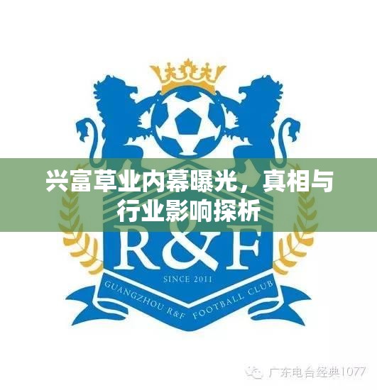 興富草業(yè)內(nèi)幕曝光，真相與行業(yè)影響探析