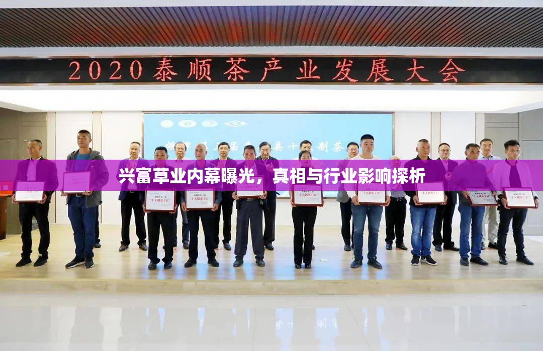 興富草業(yè)內(nèi)幕曝光，真相與行業(yè)影響探析