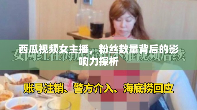 西瓜視頻女主播，粉絲數(shù)量背后的影響力探析