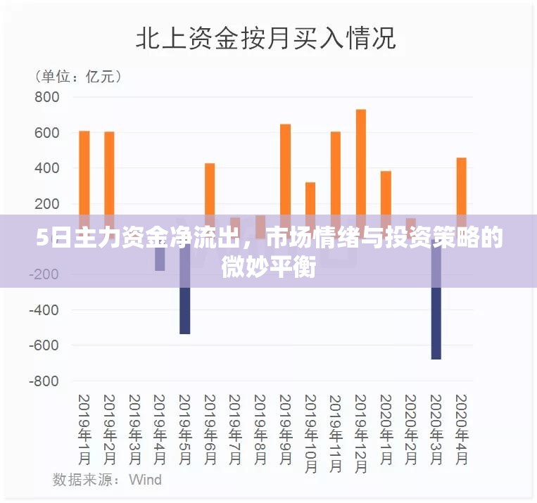 5日主力資金凈流出，市場情緒與投資策略的微妙平衡