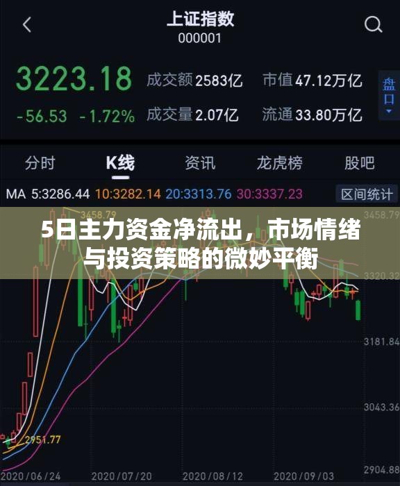 5日主力資金凈流出，市場情緒與投資策略的微妙平衡