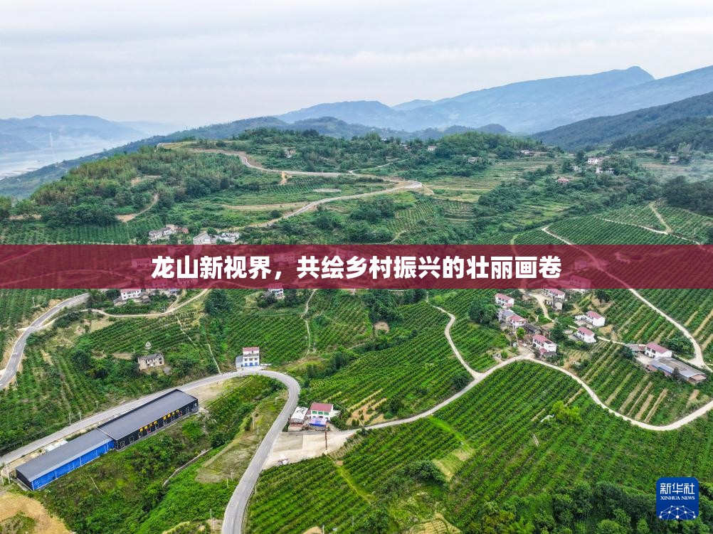 龍山新視界，共繪鄉(xiāng)村振興的壯麗畫卷