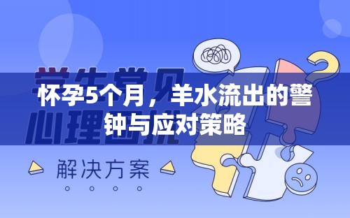 懷孕5個月，羊水流出的警鐘與應對策略