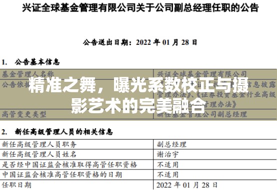 精準(zhǔn)之舞，曝光系數(shù)校正與攝影藝術(shù)的完美融合