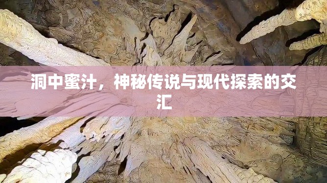 洞中蜜汁，神秘傳說(shuō)與現(xiàn)代探索的交匯