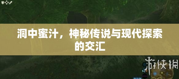 洞中蜜汁，神秘傳說(shuō)與現(xiàn)代探索的交匯