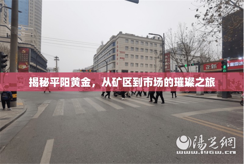 揭秘平陽黃金，從礦區(qū)到市場的璀璨之旅