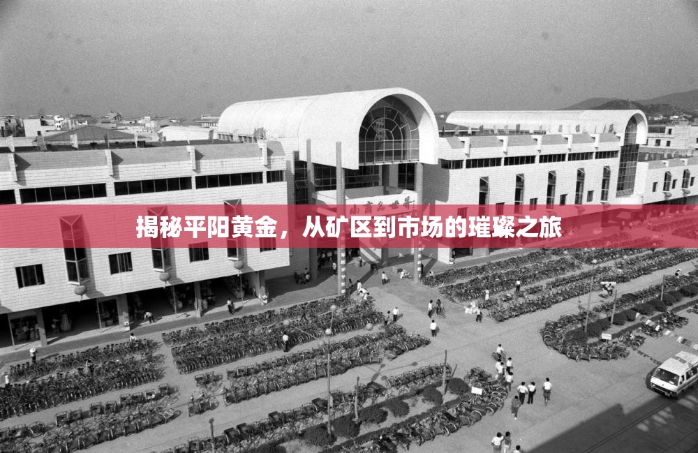 揭秘平陽黃金，從礦區(qū)到市場的璀璨之旅