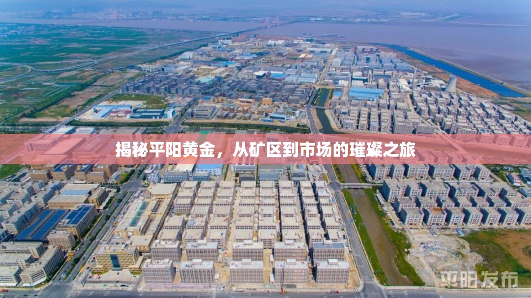 揭秘平陽黃金，從礦區(qū)到市場的璀璨之旅