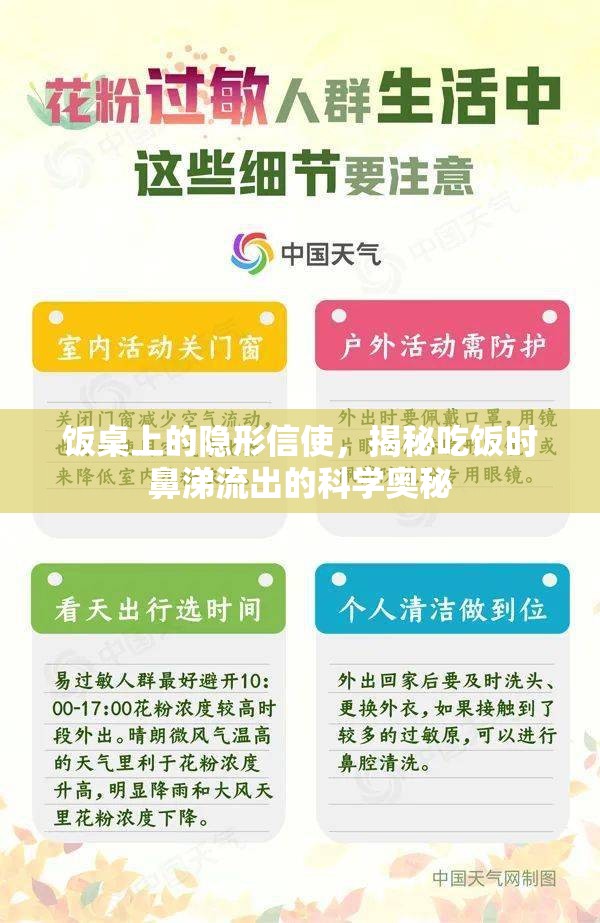 飯桌上的隱形信使，揭秘吃飯時鼻涕流出的科學(xué)奧秘