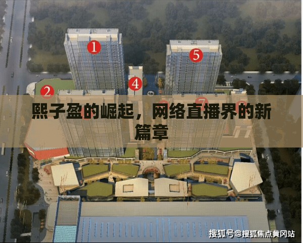 熙子盈的崛起，網(wǎng)絡(luò)直播界的新篇章