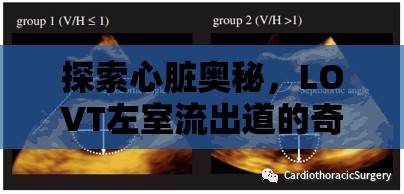 探索心臟奧秘，LOVT左室流出道的奇妙之旅