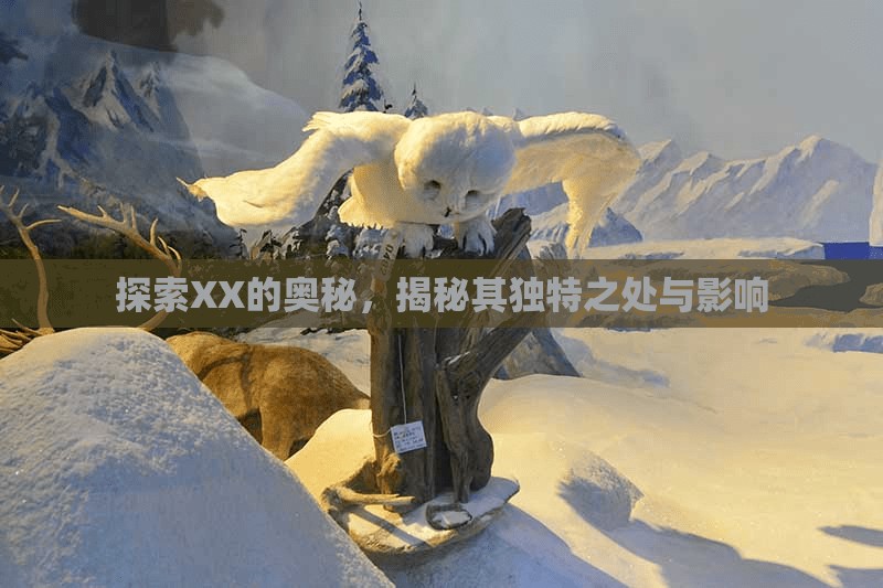 探索XX的奧秘，揭秘其獨(dú)特之處與影響