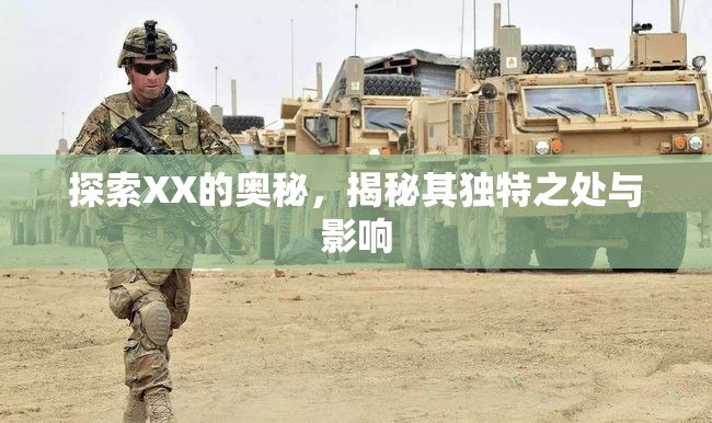 探索XX的奧秘，揭秘其獨(dú)特之處與影響