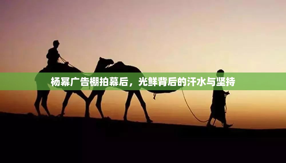 楊冪廣告棚拍幕后，光鮮背后的汗水與堅持