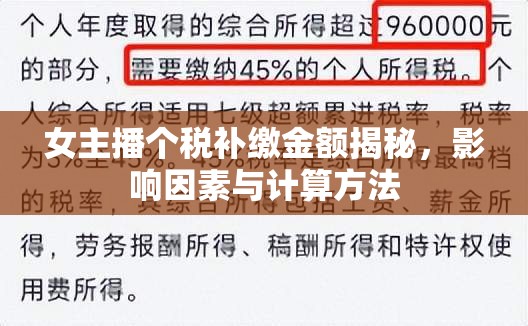 女主播個稅補繳金額揭秘，影響因素與計算方法
