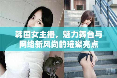 韓國(guó)女主播，魅力舞臺(tái)與網(wǎng)絡(luò)新風(fēng)尚的璀璨亮點(diǎn)