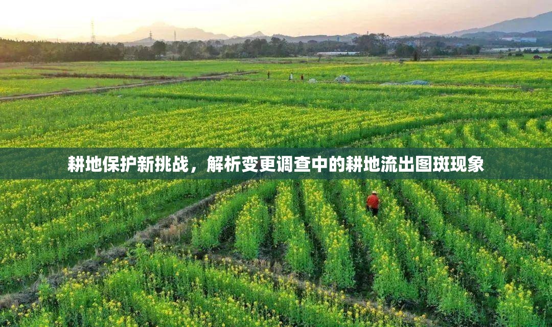 耕地保護新挑戰(zhàn)，解析變更調(diào)查中的耕地流出圖斑現(xiàn)象