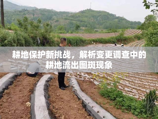 耕地保護新挑戰(zhàn)，解析變更調(diào)查中的耕地流出圖斑現(xiàn)象