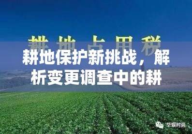 耕地保護新挑戰(zhàn)，解析變更調(diào)查中的耕地流出圖斑現(xiàn)象