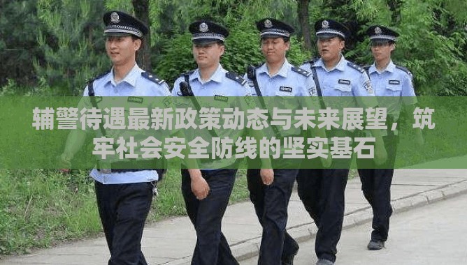 輔警待遇最新政策動態(tài)與未來展望，筑牢社會安全防線的堅(jiān)實(shí)基石