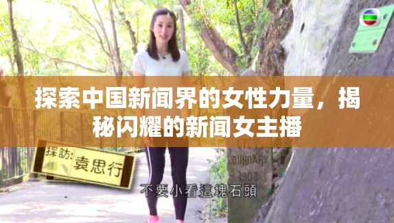 探索中國新聞界的女性力量，揭秘閃耀的新聞女主播