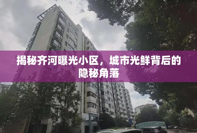 揭秘齊河曝光小區(qū)，城市光鮮背后的隱秘角落