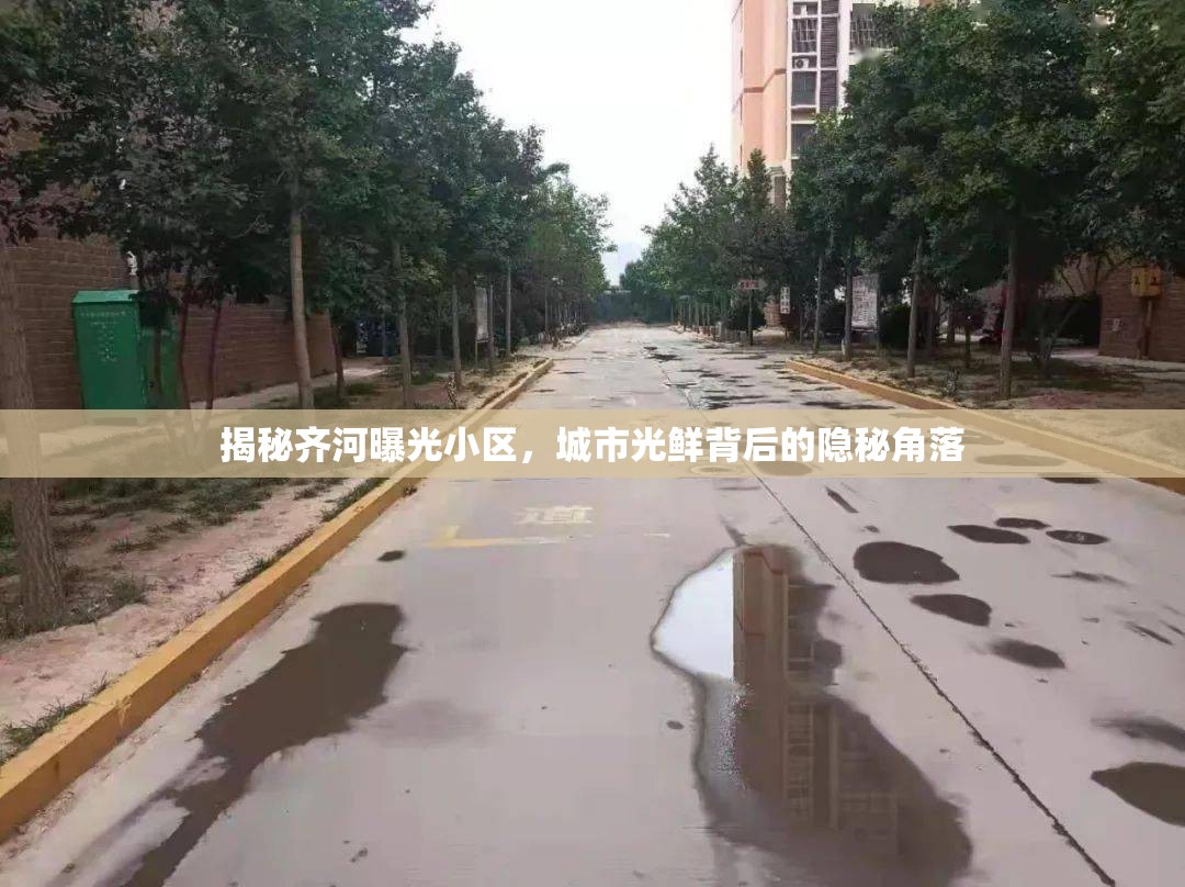 揭秘齊河曝光小區(qū)，城市光鮮背后的隱秘角落