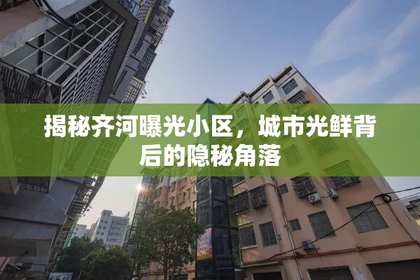 揭秘齊河曝光小區(qū)，城市光鮮背后的隱秘角落