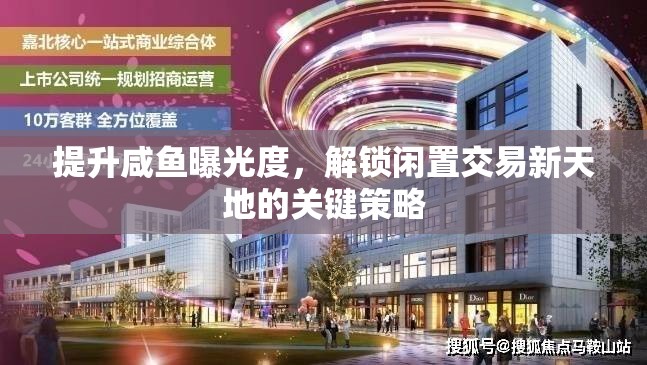 提升咸魚曝光度，解鎖閑置交易新天地的關(guān)鍵策略