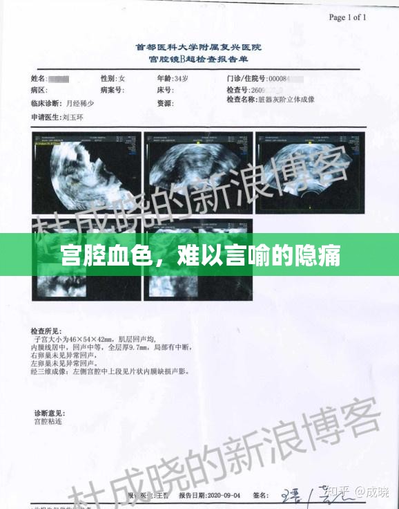 宮腔血色，難以言喻的隱痛