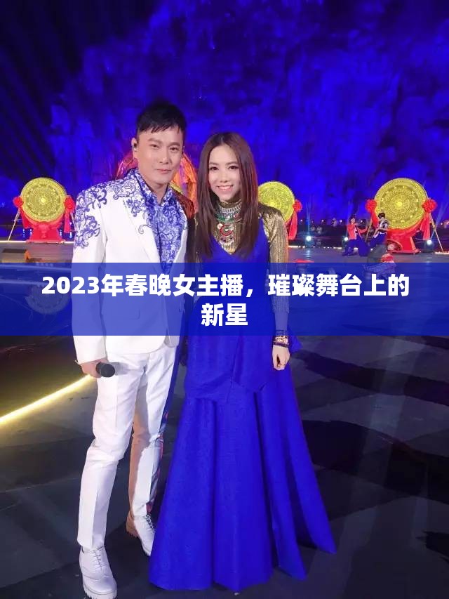 2023年春晚女主播，璀璨舞臺上的新星